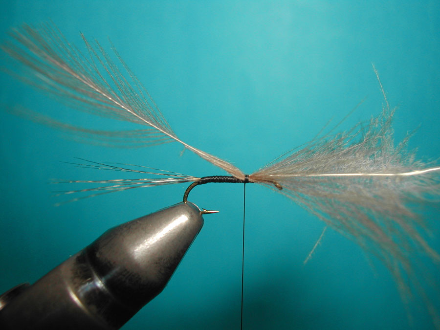 Agostino Roncall0 single CDC split wing mayfly 103