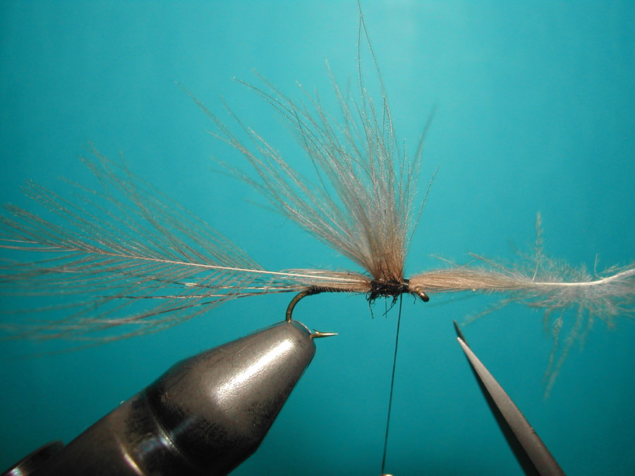Agostino Roncall0 single CDC split wing mayfly 106