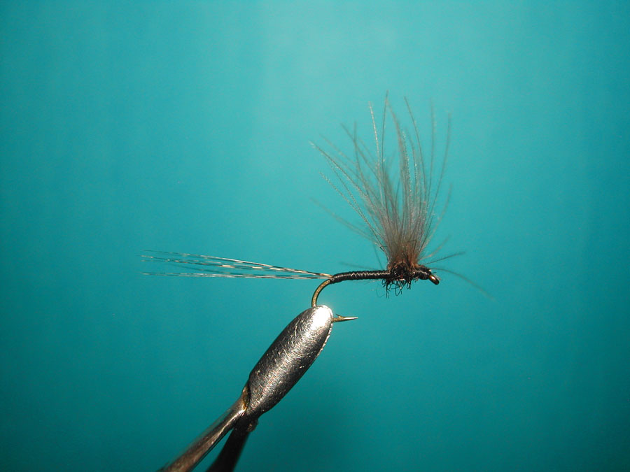 Agostino Roncall0 single CDC split wing mayfly 110