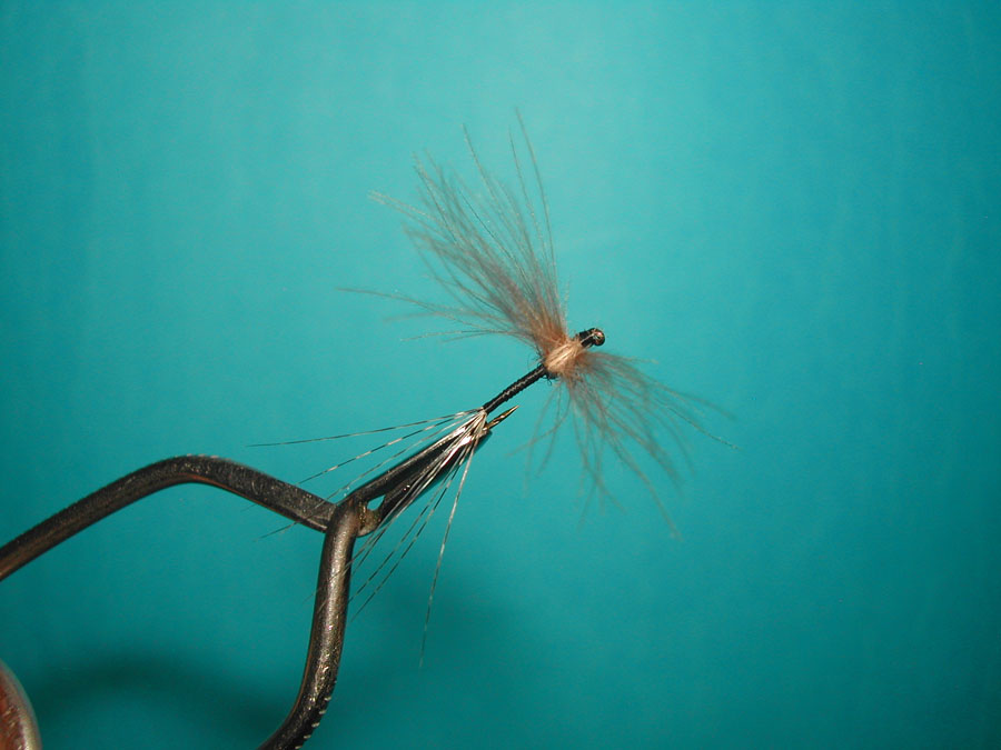 Agostino Roncall0 single CDC split wing mayfly 112