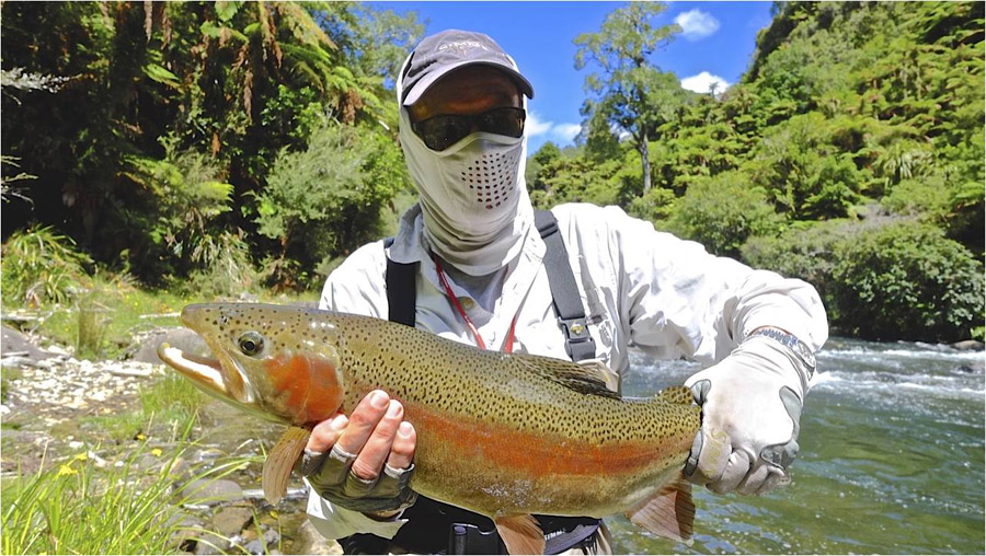 Backcountry fly fishing North Island New zealand  11