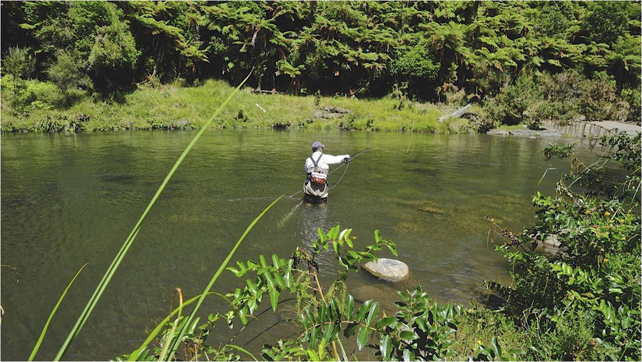 Backcountry fly fishing North Island New zealand  111