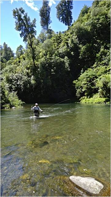 Backcountry fly fishing North Island New zealand  119