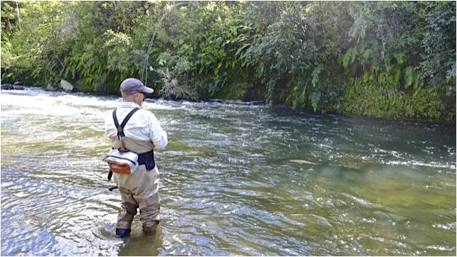 Backcountry fly fishing North Island New zealand  17