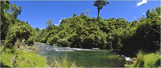 Backcountry fly fishing North Island New zealand  411