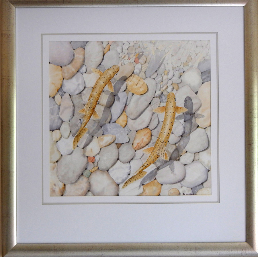 Trout over pebbles sutcliffe painting DSCN1074