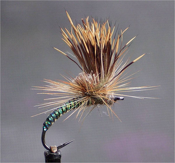 A Christian Scmidt fly