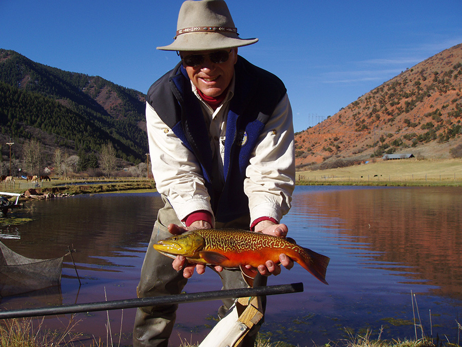 Barry Nehring Tiger rout
