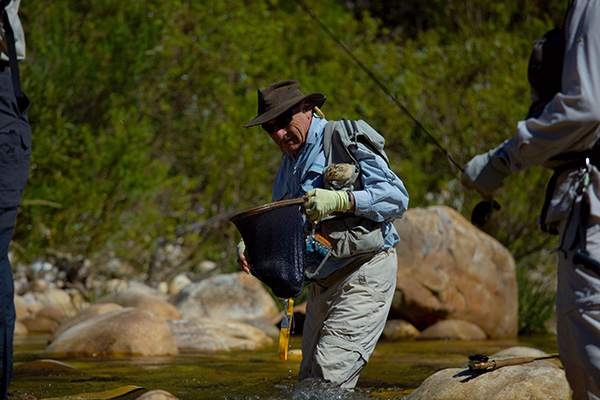 11 Tom Sutcliffe IMG 1014