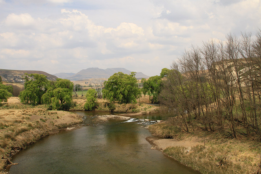 Source Kraai IMG 5383
