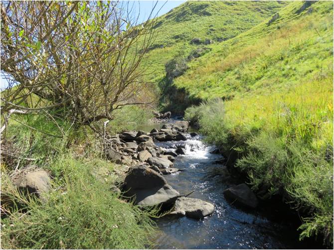 The Bradgate above the bridge