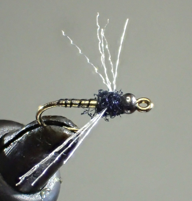 13 C-Sunk Spinner reduced