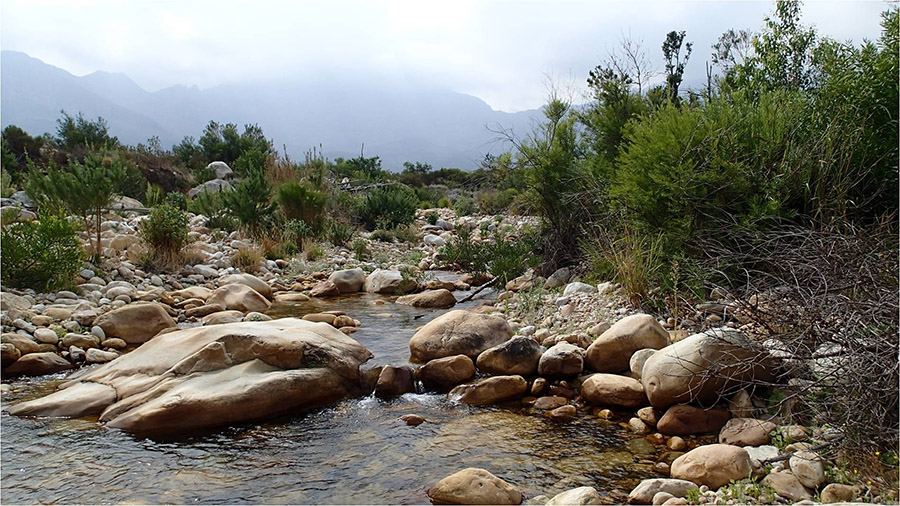 2 Upper Lourens Picture7