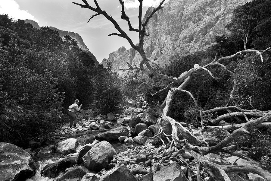 Lewin 27 Lourens River