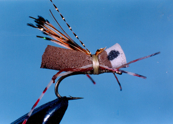 EH2 Ed hopper on Orvis Quick  Sight  Ant Body