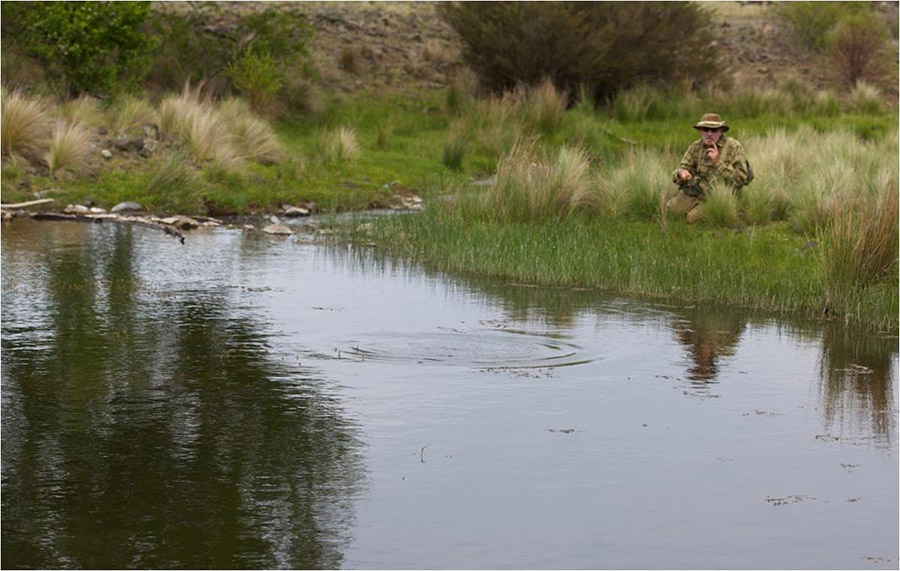 Nick Taransky stalking
