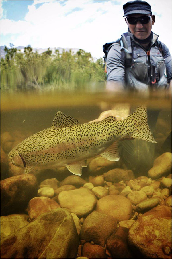 23 Platon Smalblaar River 2