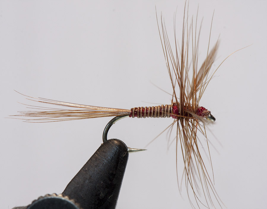 Lunn Particular-dry-fly