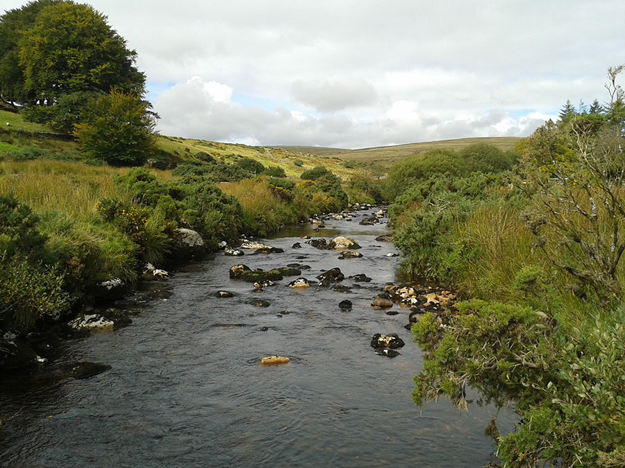 Upper East Dart