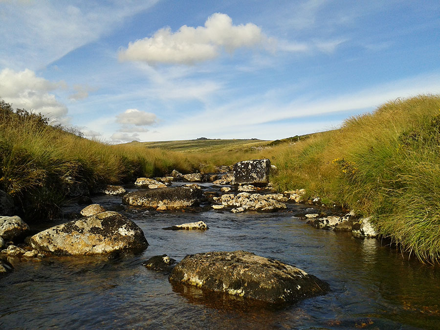 Upper West Dart