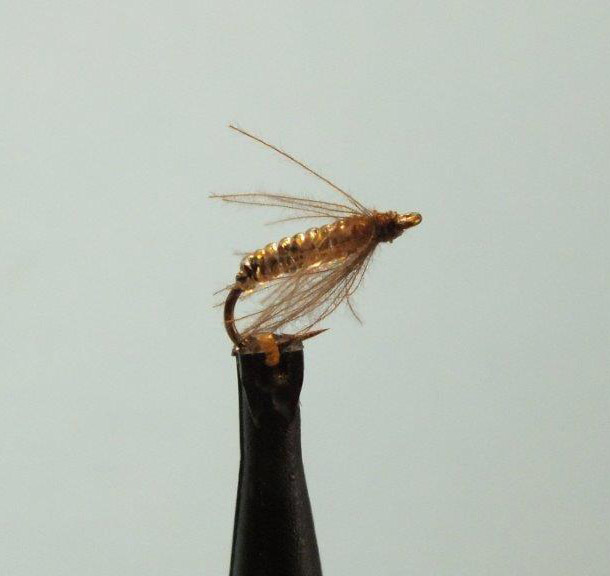 Alan Hobson Phantom Midge