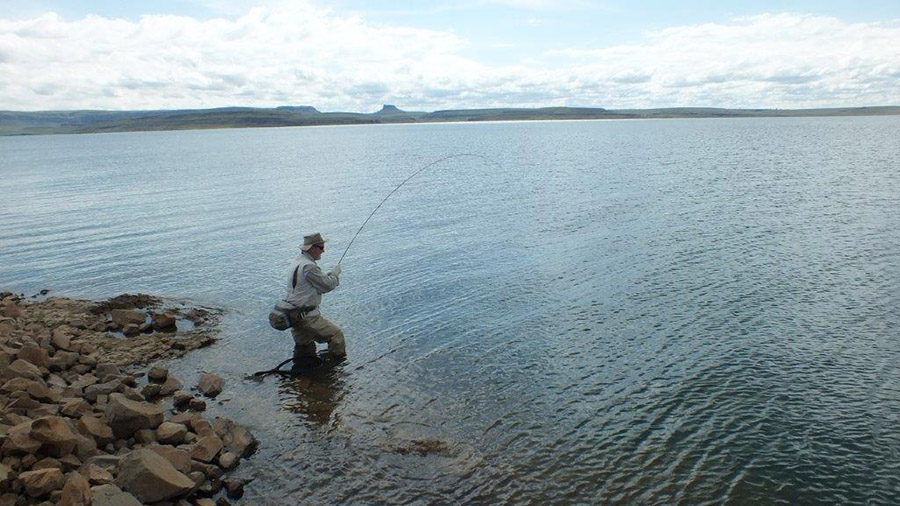 Alan Hobson Sterkfontein