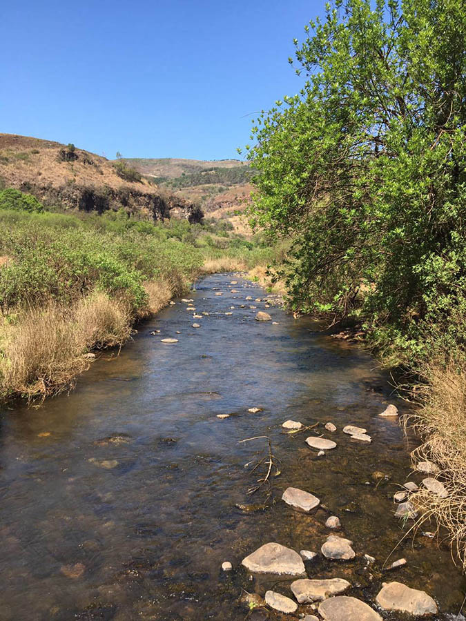14 Blyde River