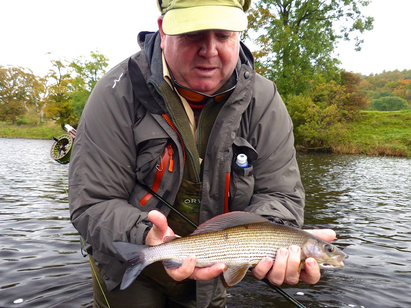 5 Grayling fight 5