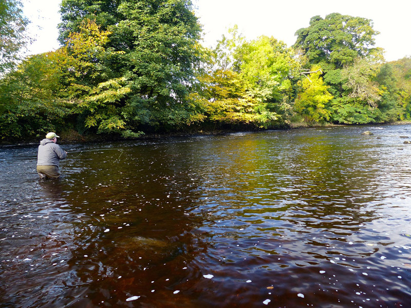 7 River Ure at Masham 