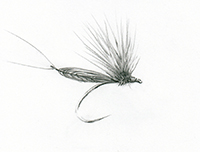 MIRAGE DRY FLY