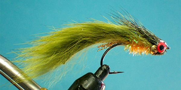 Photo 10 RW streamer