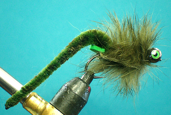 Photo 11 Ed Dragon  ail