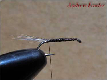 3 Andrew Fowler Nymph 1