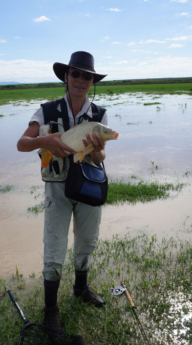 434 Gia carp1