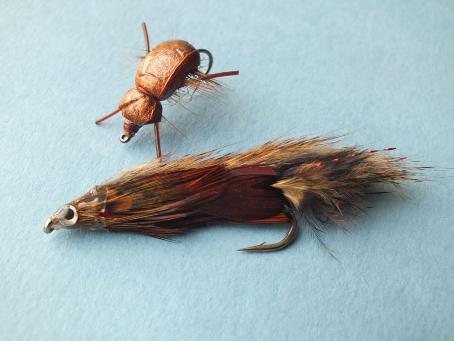 436 Al flies
