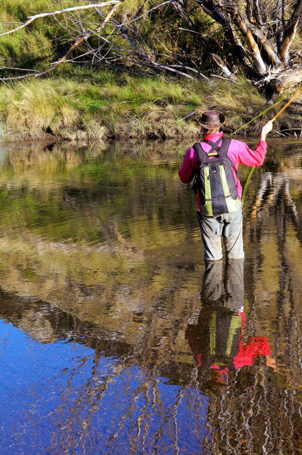 977 Bokspruit River reflections DSC 1147