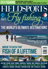 Flyfishing