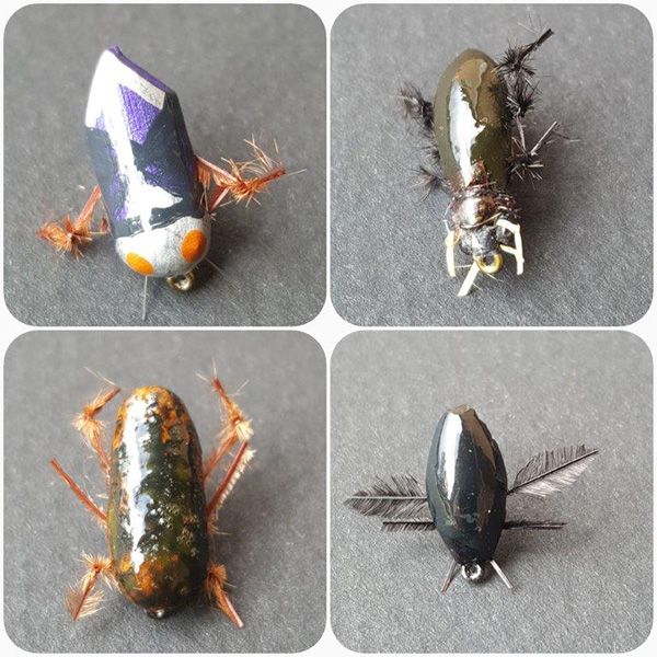 Sterkfontein beetles