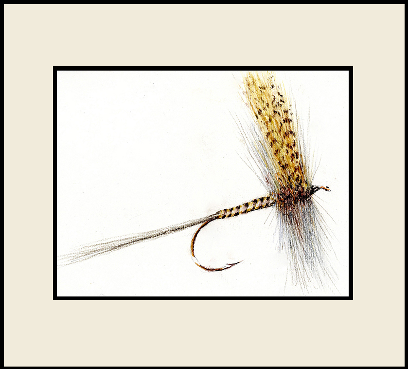 Catskill Quill Gordon