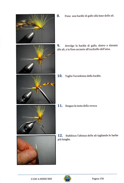 SEQUENCES