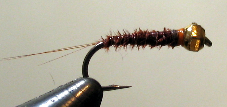 SWEDE POOLSE NYMPH 3