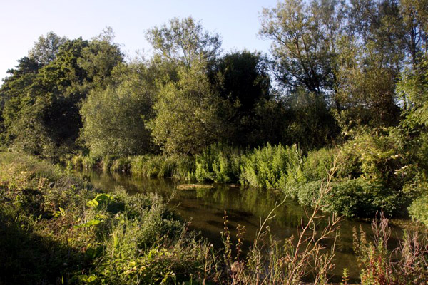bournelandscape