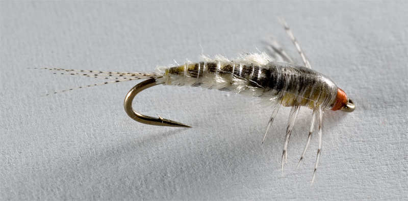 G Nymph 14