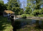 89 The Avon