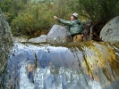 Fly stream tapestries - Rocks, roots, lichen and waterfalls