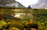 Underwater fly fishing photography (15)