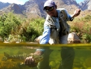 Underwater fly fishing photography (39)