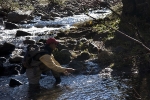 Karnemelk Stream (10)