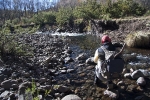 Karnemelk Stream (13)