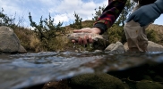 Karnemelk Stream (18)